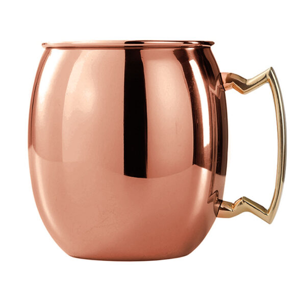 Copper Mug